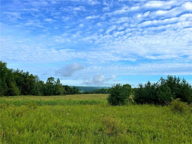 7800 W Hill Rd, Mansfield NY, 14719 land for sale