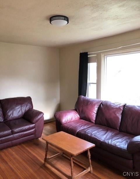 living room featuring a textured ceiling and wood finished floors