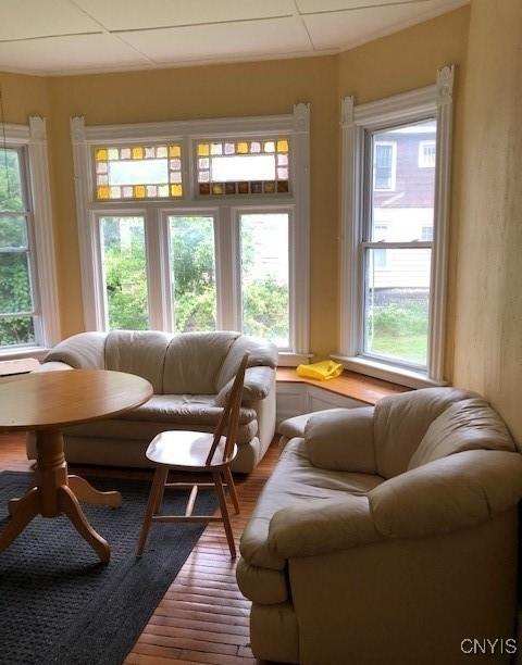 interior space with a drop ceiling, wood finished floors, and a wealth of natural light