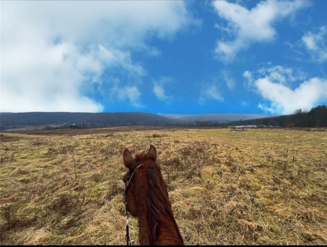 788 Sagetown Rd, Southport NY, 14871 land for sale