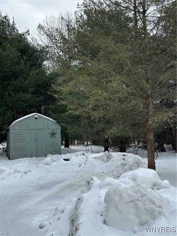 snowy yard with an outbuilding and a shed