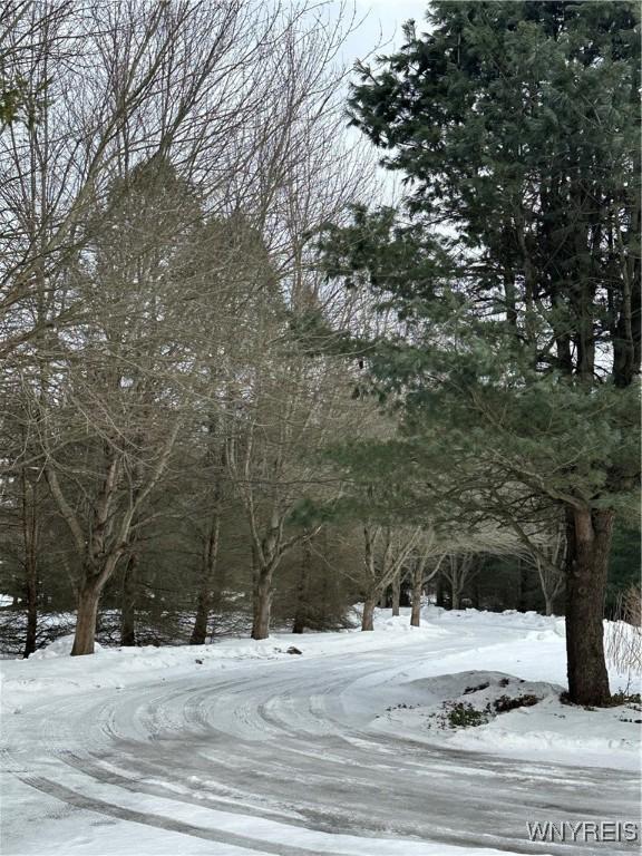 view of yard covered in snow