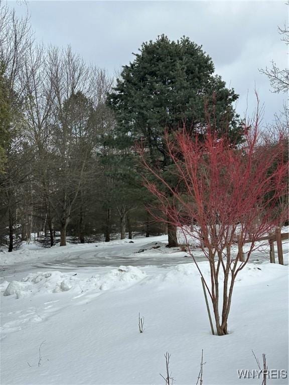 view of yard covered in snow