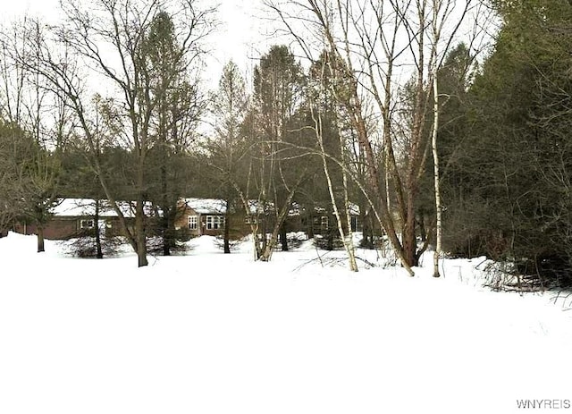 view of yard layered in snow