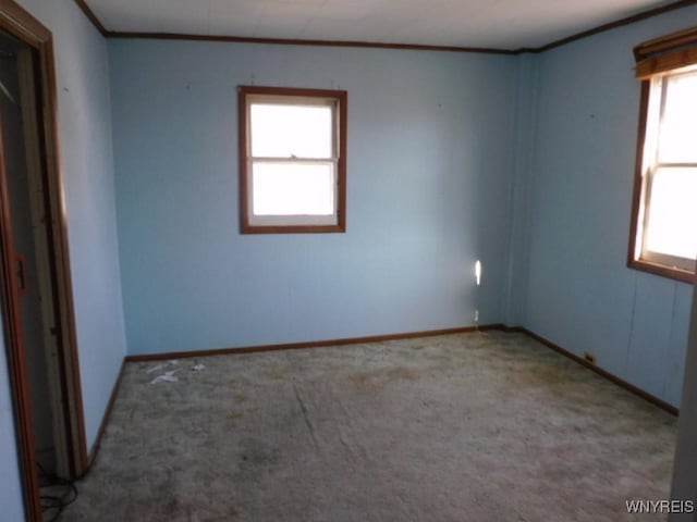 325 Ontario St, Lockport-City, NY 14094 - empty room featuring crown molding, carpet flooring, baseboards, and a healthy amount of sunlight