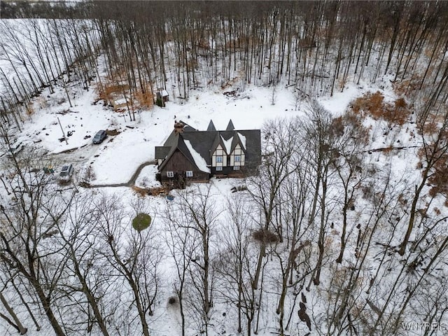 view of snowy aerial view