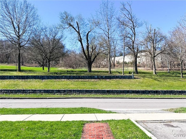 view of community with a lawn