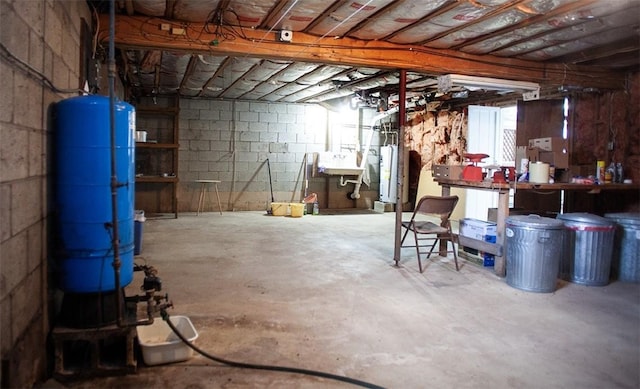 basement with concrete block wall