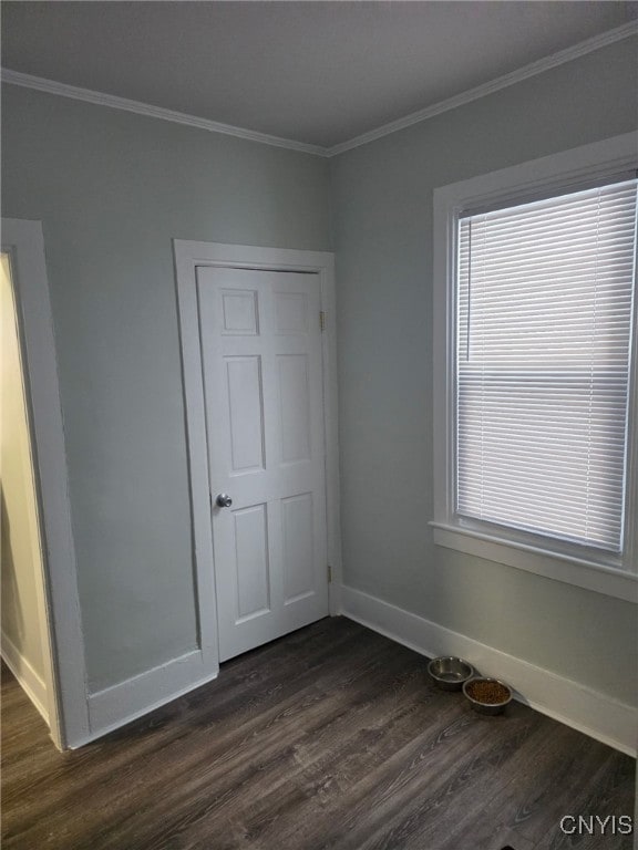 unfurnished bedroom with dark wood-type flooring, multiple windows, crown molding, and baseboards