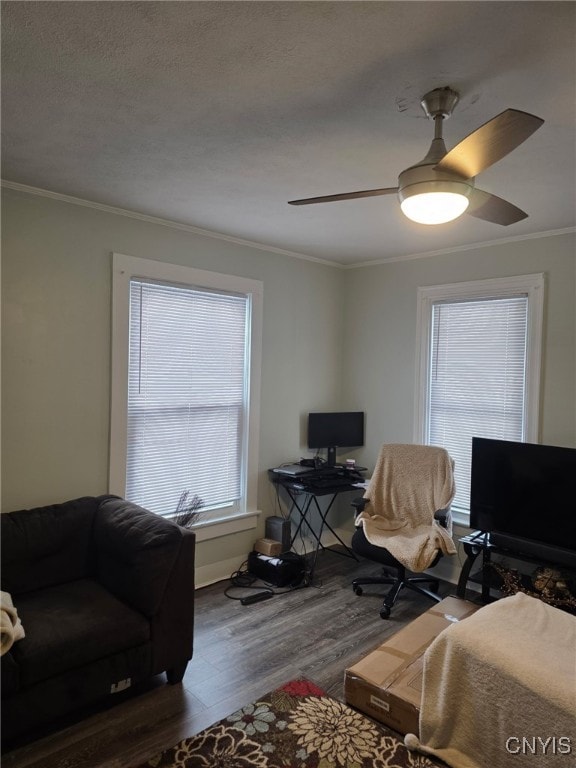 office featuring ceiling fan, a textured ceiling, wood finished floors, and crown molding