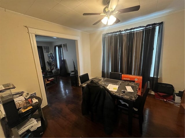 dining area with ceiling fan, dark wood finished floors, and crown molding