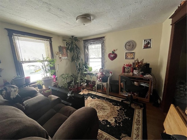 living area with a textured ceiling