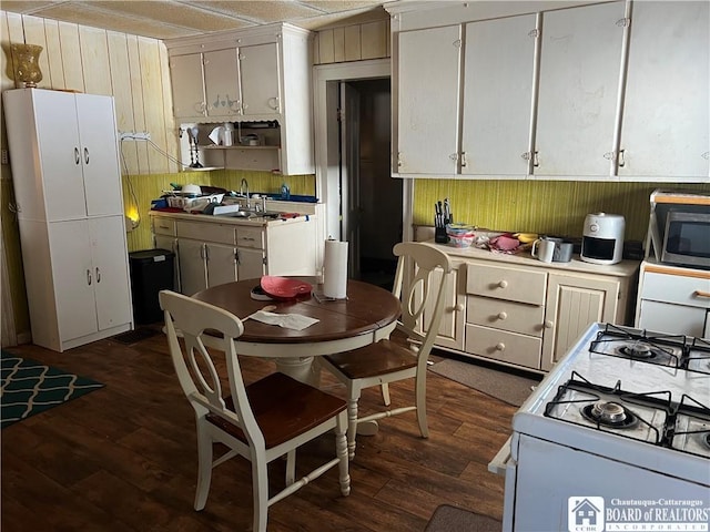 507 E Connell St, Olean-City, NY 14760 - kitchen with stainless steel microwave, white gas range oven, wood walls, and a sink