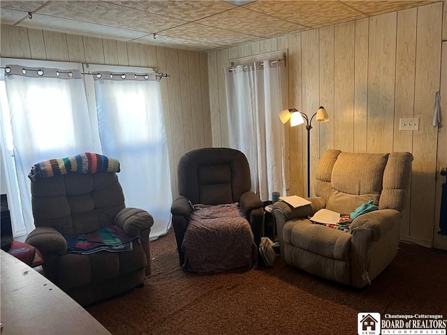 507 E Connell St, Olean-City, NY 14760 - living room with wood walls and carpet flooring