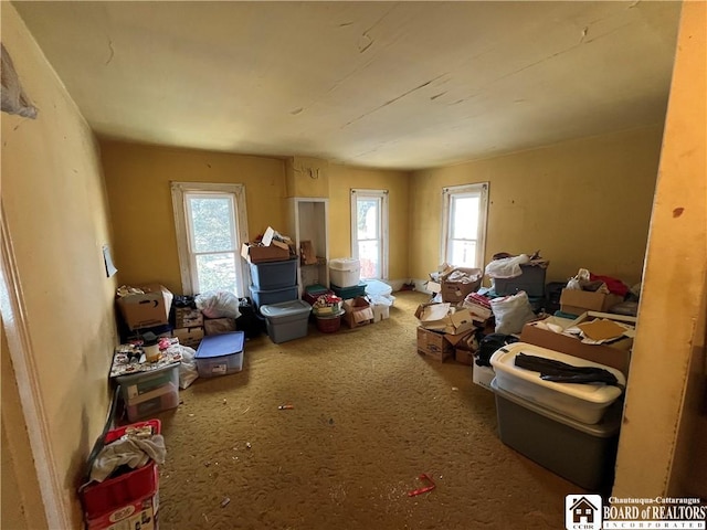 507 E Connell St, Olean-City, NY 14760 - miscellaneous room featuring plenty of natural light and carpet
