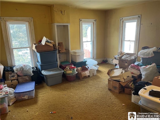507 E Connell St, Olean-City, NY 14760 - interior space featuring carpet and plenty of natural light