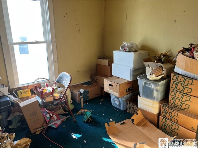 507 E Connell St, Olean-City, NY 14760 - view of storage