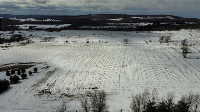 S Cortland Virgil Rd, Virgil, NY 13045