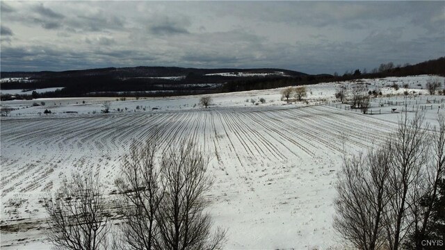 S Cortland Virgil Rd, Virgil, NY 13045