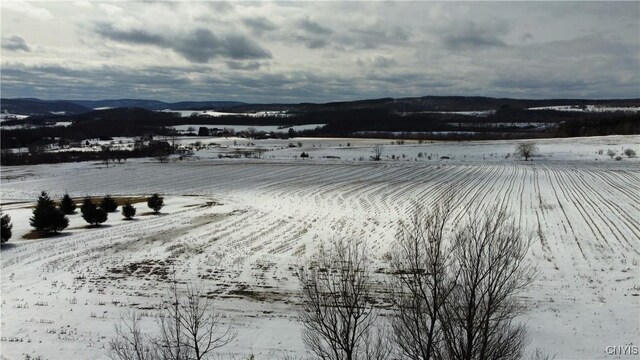 S Cortland Virgil Rd, Virgil, NY 13045