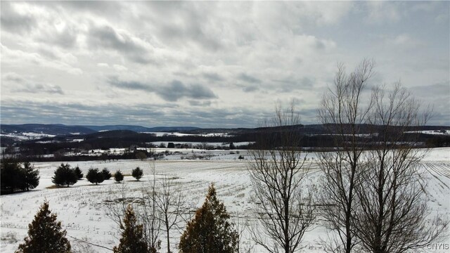 S Cortland Virgil Rd, Virgil, NY 13045