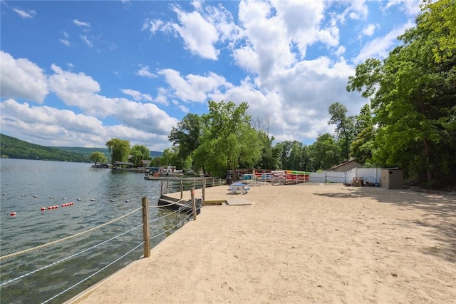 dock area with a water view