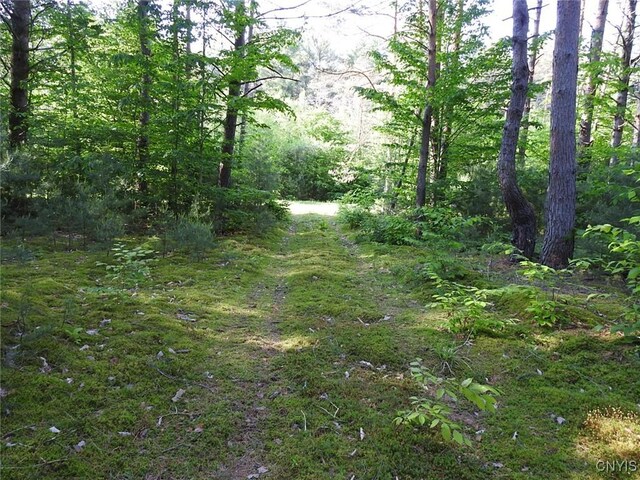 5206 Rugby Rd, Greig, NY 13345 - photo 1