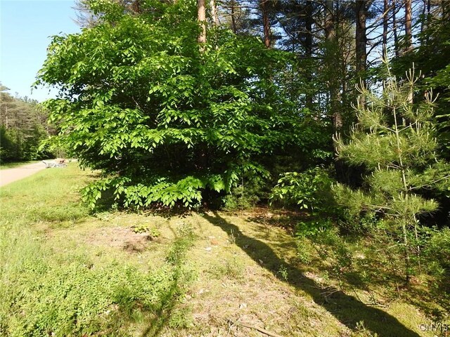 5206 Rugby Rd, Greig, NY 13345 - photo 2