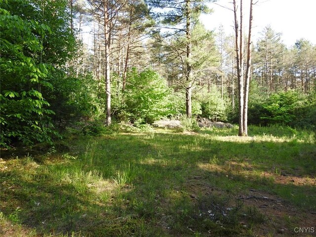 5206 Rugby Rd, Greig, NY 13345 - photo 6