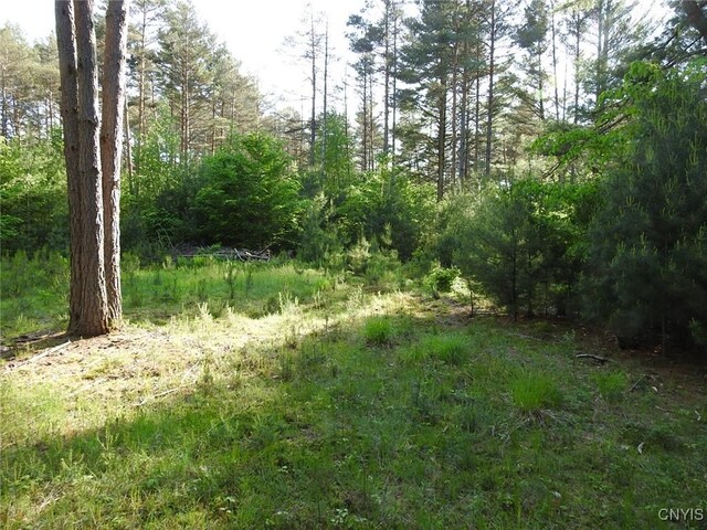 5206 Rugby Rd, Greig, NY 13345 - photo 7