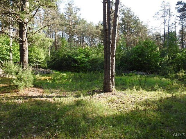 5206 Rugby Rd, Greig, NY 13345 - photo 8