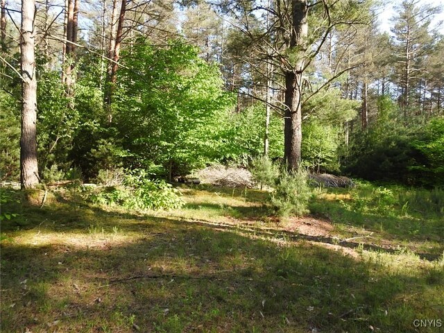 5206 Rugby Rd, Greig, NY 13345 - photo 9
