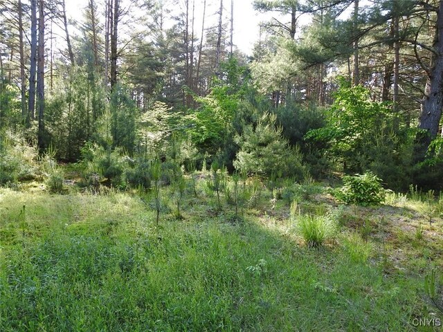 5206 Rugby Rd, Greig, NY 13345 - photo 12