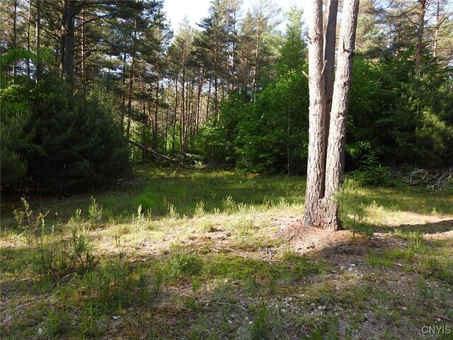 5206 Rugby Rd, Greig, NY 13345 - photo 13