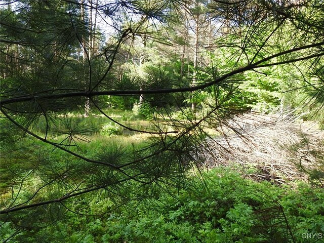 5206 Rugby Rd, Greig, NY 13345 - photo 17