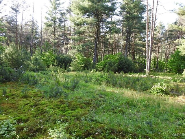 5206 Rugby Rd, Greig, NY 13345 - photo 18