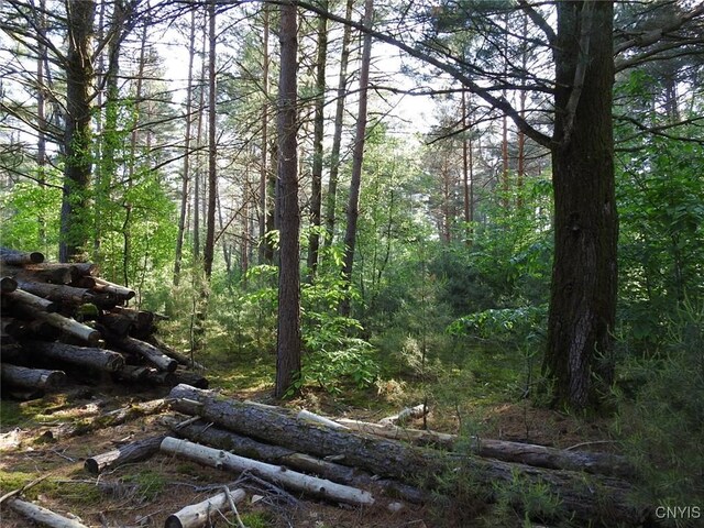5206 Rugby Rd, Greig, NY 13345 - photo 20