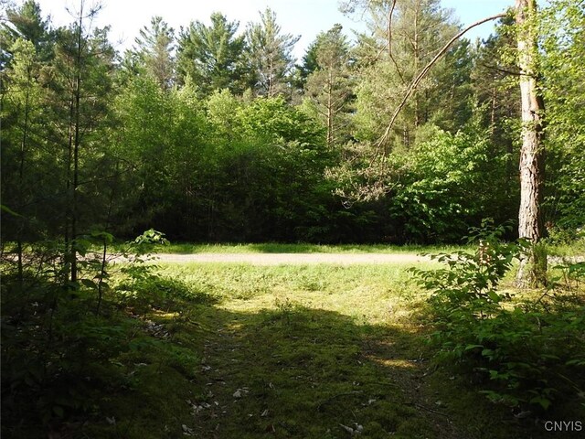 5206 Rugby Rd, Greig, NY 13345 - photo 21