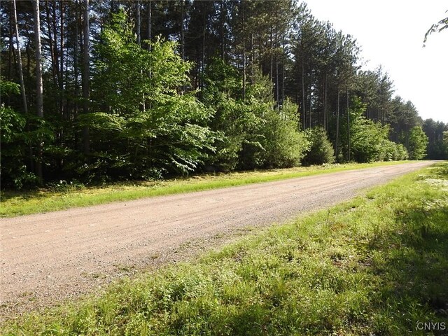 5206 Rugby Rd, Greig, NY 13345 - photo 23