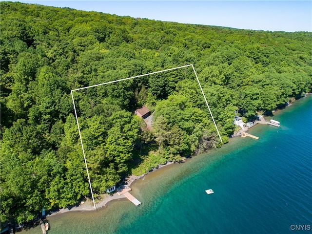 bird's eye view featuring a water view and a view of trees