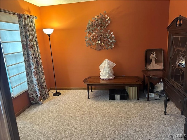 living area featuring carpet floors, a healthy amount of sunlight, and baseboards