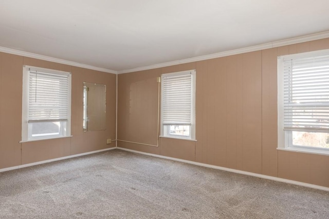 903 W 1st St, Elmira, NY 14905 - empty room with ornamental molding and carpet floors