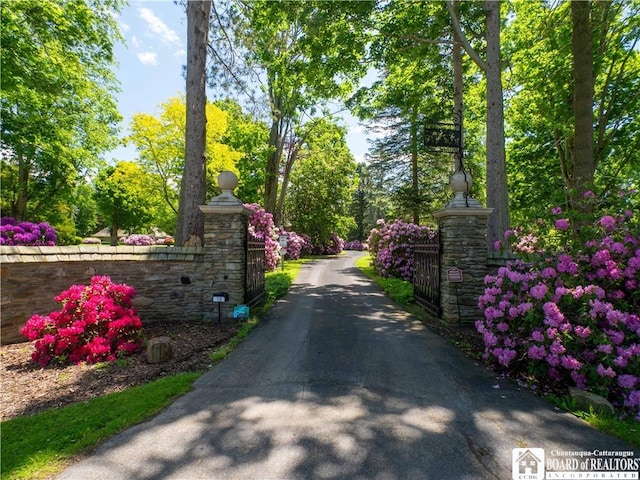 view of street featuring aphalt driveway and a gate