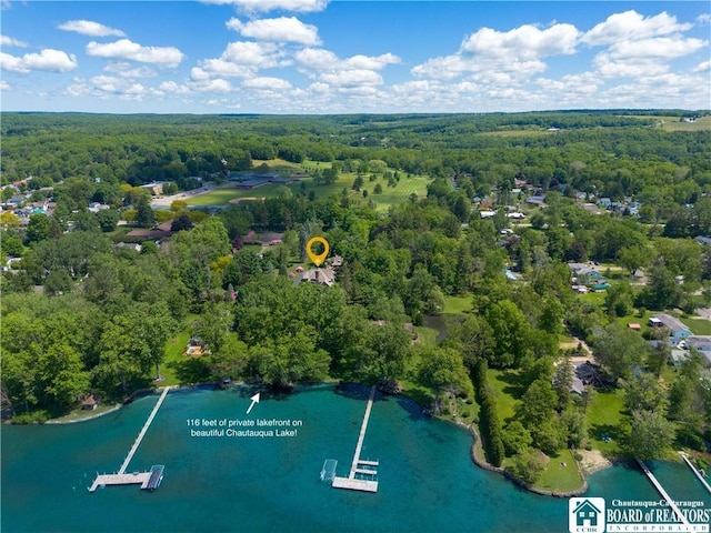 bird's eye view with a forest view and a water view