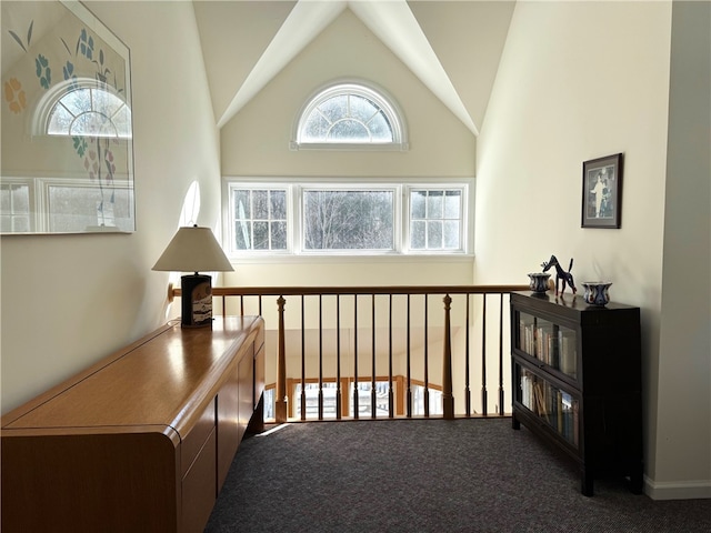 hallway featuring carpet floors and high vaulted ceiling