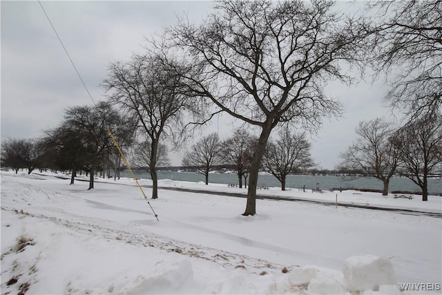 view of yard layered in snow