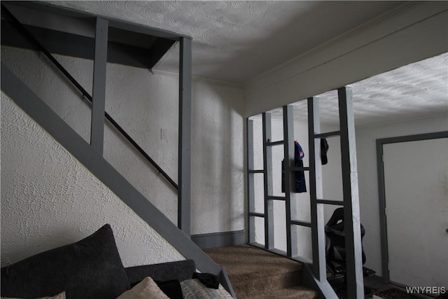 stairway with carpet flooring and a textured wall