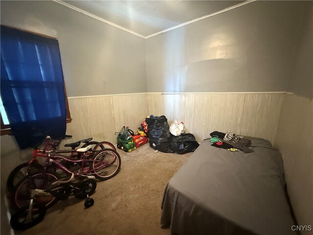 bedroom featuring carpet floors, a wainscoted wall, and wood walls