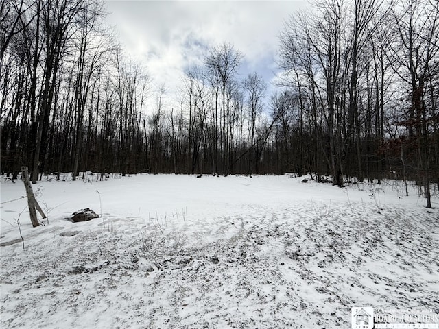 0 Donelson Rd, Busti NY, 14701 land for sale