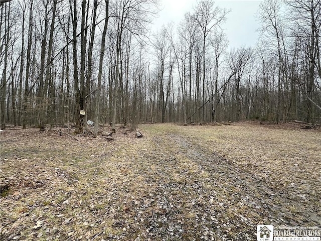 0 Donelson Rd, Busti, NY 14701 - photo 2